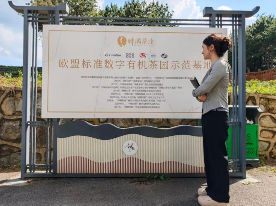 贵州省社科院课题组调研贵州茶叶产业产量和价格波动